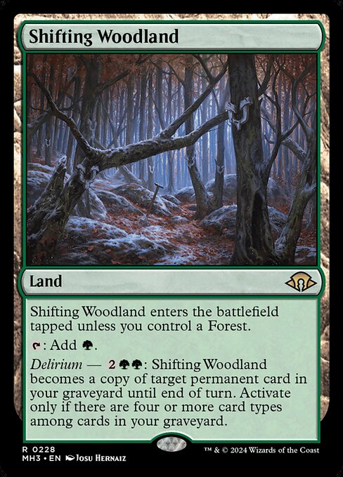 Foresta cambiante
