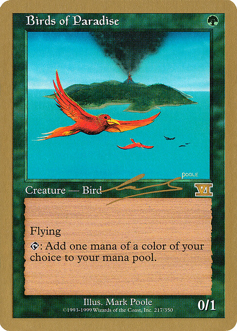 Aves del paraíso