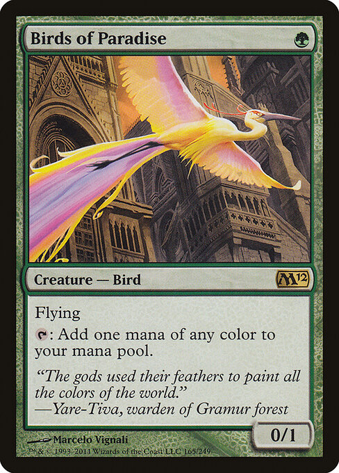 Aves del paraíso — Magic 2012