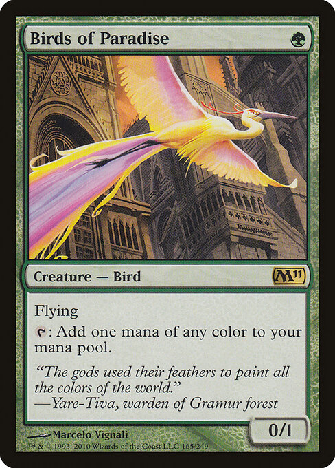 Aves del paraíso — Magic 2011