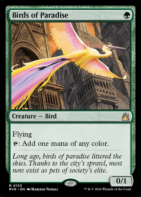 Aves del paraíso