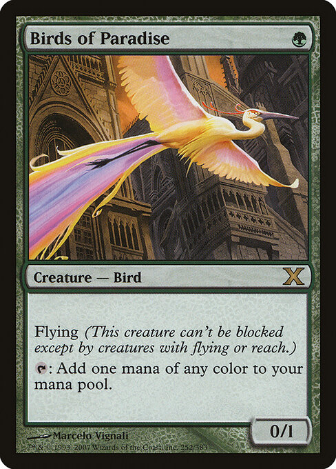 Aves del paraíso — Tenth Edition
