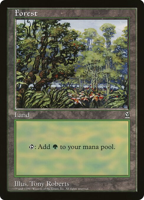 Bosque — Oversized League Prizes