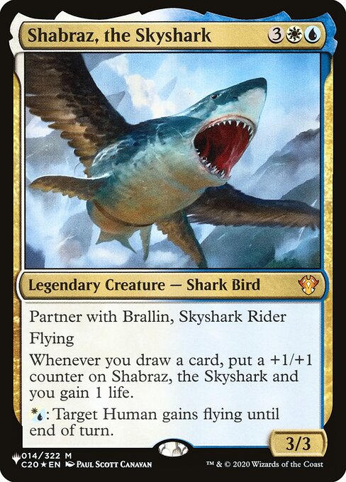 Shábraz, el Aerotiburón