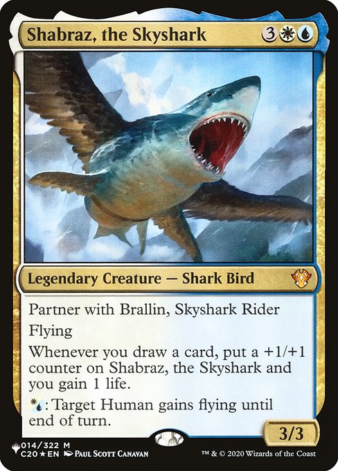 Shábraz, el Aerotiburón