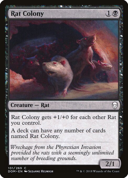Colonia de ratas