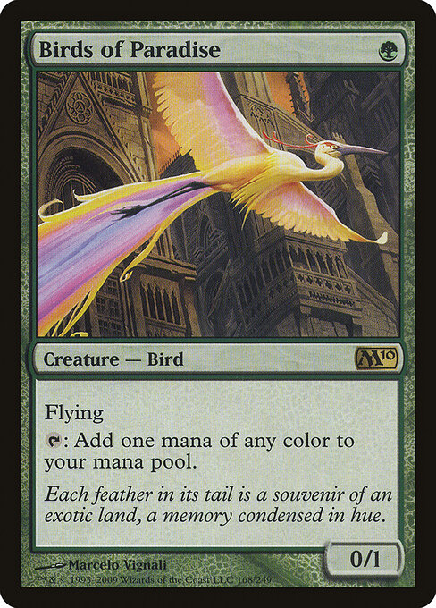 Aves del paraíso — Magic 2010