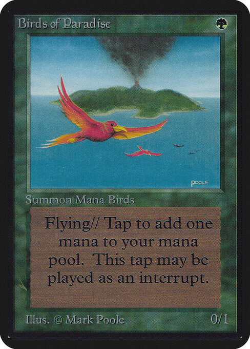 Aves del paraíso — Limited Edition Alpha