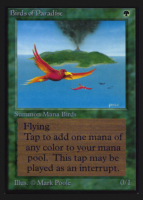 Aves del paraíso — Collectors' Edition