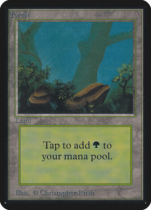 Bosque — Limited Edition Alpha