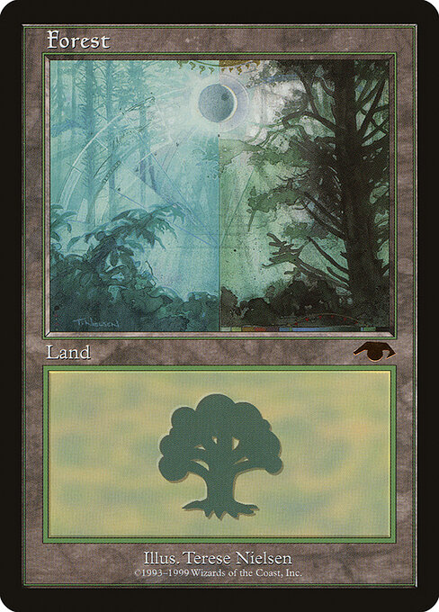 Bosque — Guru