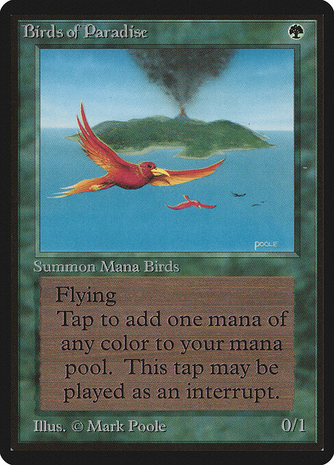 Aves del paraíso — Limited Edition Beta
