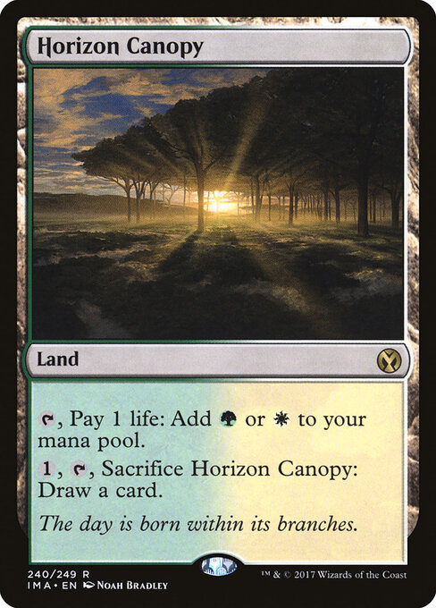 Enramada del horizonte