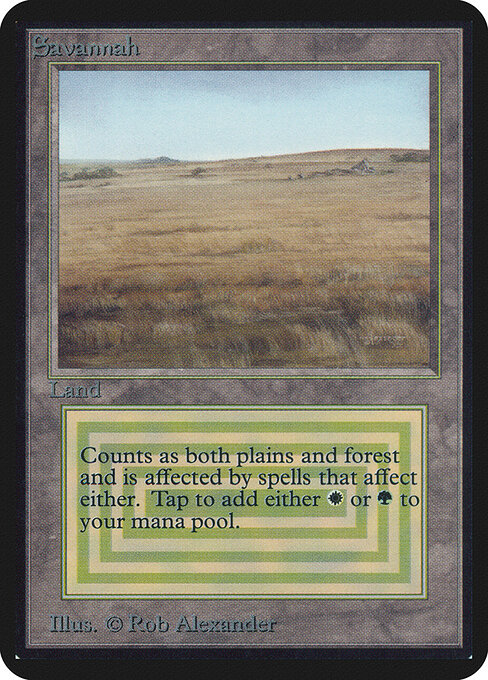 Savannah — Limited Edition Alpha