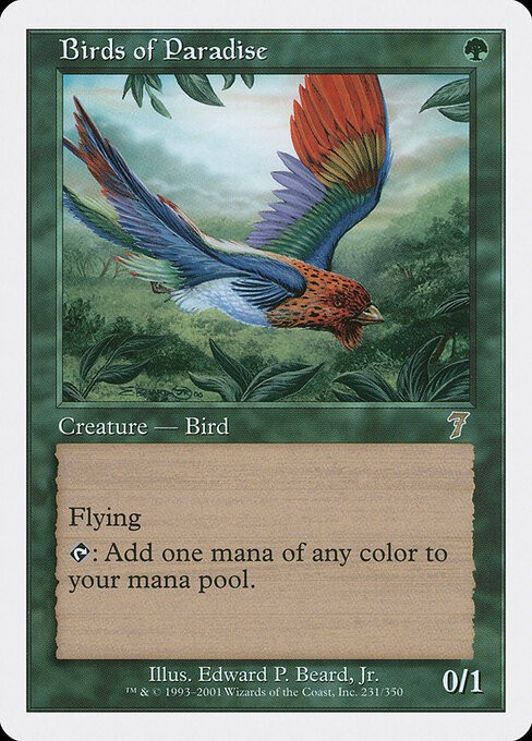 Aves del paraíso — Seventh Edition