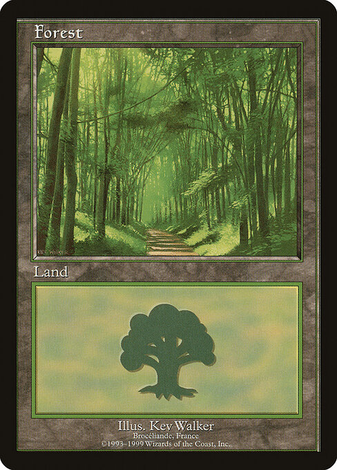 Bosque — European Land Program