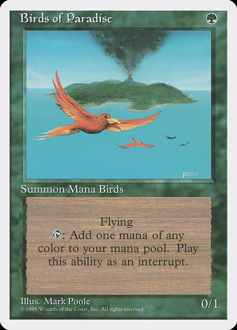 Aves del paraíso — Fourth Edition
