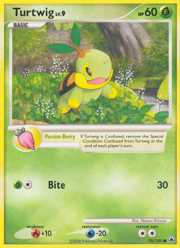 Turtwig Lv.9