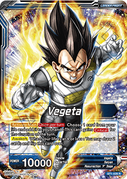 Vegeta // Super Saiyan Blue Vegeta