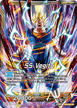 SS Vegito // Son Goku & Vegeta, Path to Victory
