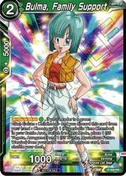Bulma, Family Support