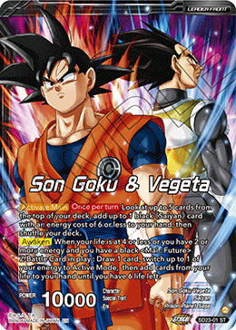 Son Goku & Vegeta // SSB Vegito, Shining Warrior
