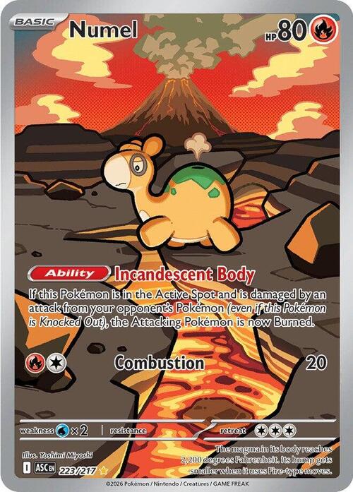 Numel