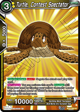 Turtle, Contest Spectator