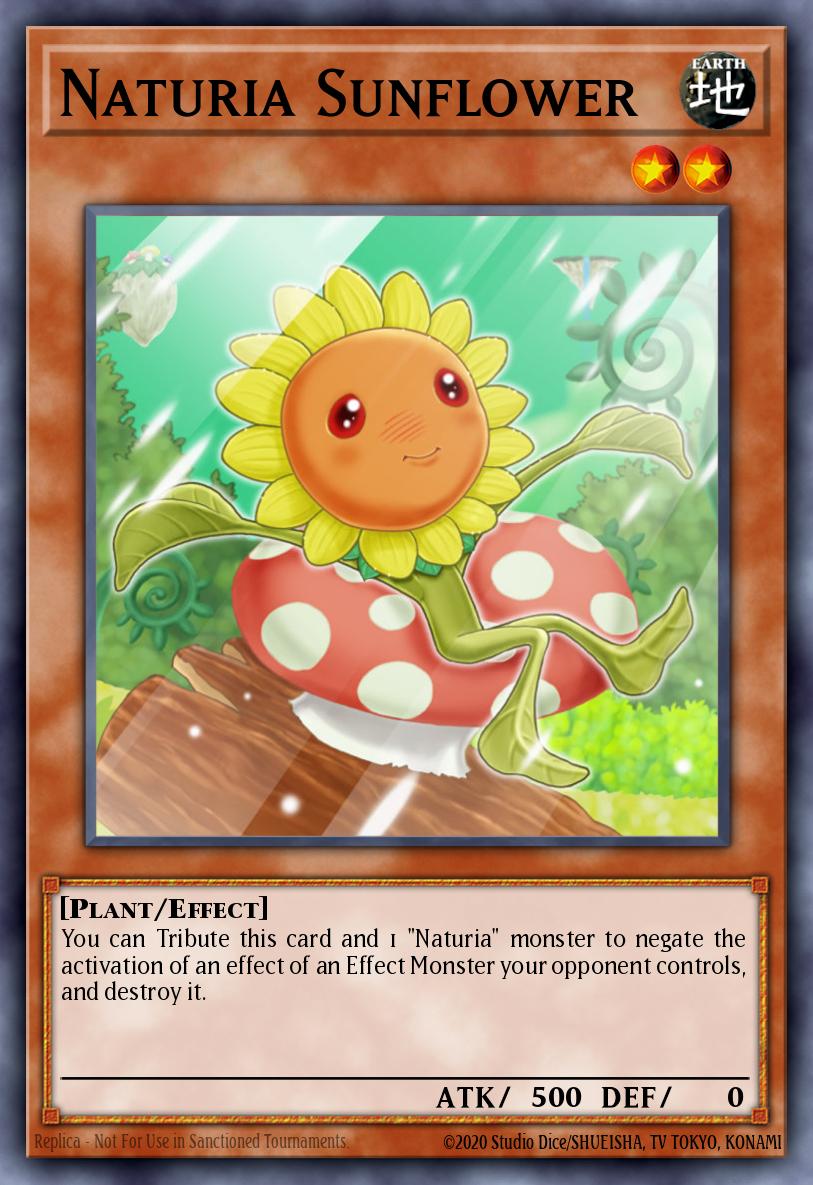 Naturia Sunflower