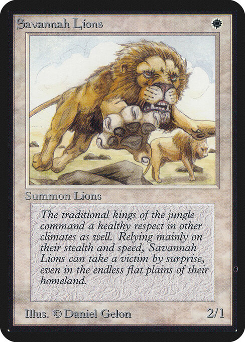 Leones de la sabana — Limited Edition Alpha